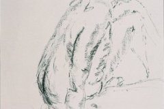 2003_skizze_2