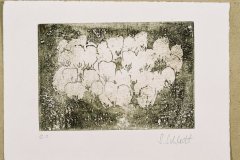 2005_blumen_2