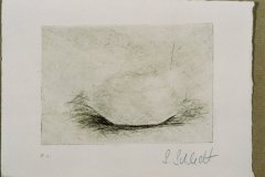 2005_stein_1