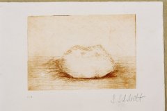 2005_stein_2