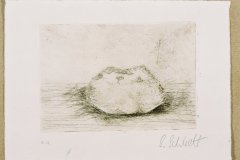 2005_stein_3